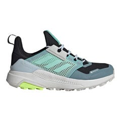 Naiste matkasaapad Adidas Terrex Trailmaker GTX W FX4694, sinine цена и информация | Adidas Женская обувь | kaup24.ee