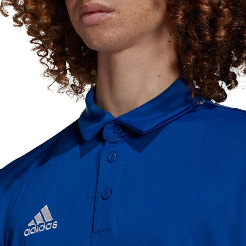 Meeste spordisärk Adidas Entrada 22 Polo, sinine hind ja info | Meeste spordiriided | kaup24.ee