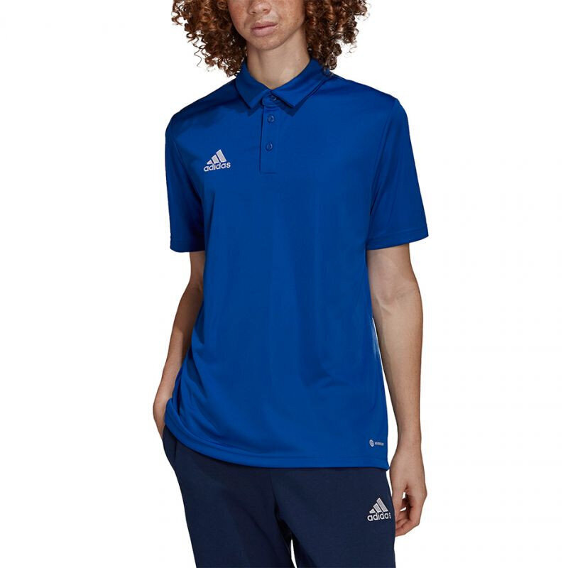 Meeste spordisärk Adidas Entrada 22 Polo, sinine hind ja info | Meeste spordiriided | kaup24.ee