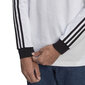 Meeste T-särk Adidas GN3477 цена и информация | Meeste T-särgid | kaup24.ee