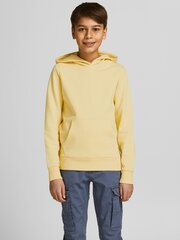 Детская кофта Jack & Jones 12184813*01, желтая 5715212745711 цена и информация | Свитеры, жилетки, пиджаки для мальчиков | kaup24.ee