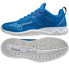 Мужские кроссовки Mizuno Ghost Shadow M X1GA218024 цена и информация | Кроссовки для мужчин | kaup24.ee