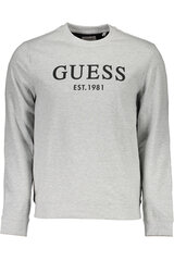 Джемпер мужской GUESS JEANS, серый цена и информация | Мужские свитера | kaup24.ee