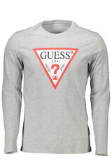 Мужская футболка Guess Jeans цена и информация | Мужские футболки | kaup24.ee