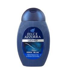 Гель для душа и шампунь для мужчин Felce Azzurra Cool Blue, 250 мл цена и информация | Масла, гели для душа | kaup24.ee