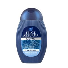 Felce Azzurra dušišampoon meestele Fresh Ice 250ml hind ja info | Dušigeelid, õlid | kaup24.ee