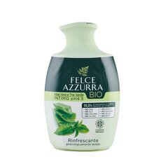 Intiimhügieeni seep Aloe Vera & Green Tea, Felce Azzurra BIO, 250ml hind ja info | Intiimhügieeni tooted | kaup24.ee