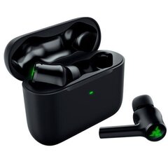 Razer Hammerhead True Wireless 2021 Black цена и информация | Наушники | kaup24.ee