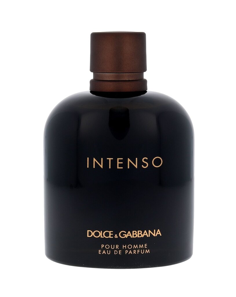 Dolce & Gabbana Intenso Pour Homme EDP meestele 200 ml hind ja info | Meeste parfüümid | kaup24.ee