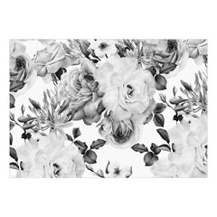 Kleebitav fototapeet - Sentimental Garden (Black and White), 400x280 hind ja info | Fototapeedid | kaup24.ee