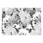 Kleebitav fototapeet - Sentimental Garden (Black and White), 400x280 hind ja info | Fototapeedid | kaup24.ee