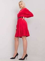Naise punane vabaaja kleit hind ja info | Kleidid | kaup24.ee