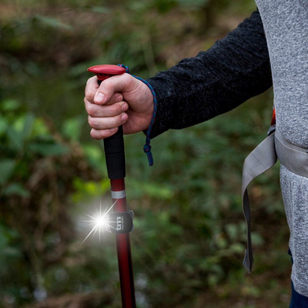 LED Taskulamp Rattale TM Electron hind ja info | Taskulambid, prožektorid | kaup24.ee