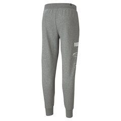 Meeste spordipüksid Puma Rebel Pants 5103, hall цена и информация | Мужская спортивная одежда | kaup24.ee