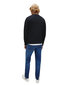 Meeste dressipluus Calvin Klein Jeans BFN-G-334522 цена и информация | Meeste pusad | kaup24.ee