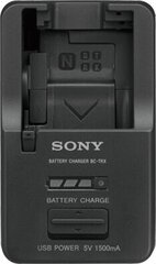 Sony BC-TRX hind ja info | Laadijad fotoaparaatidele | kaup24.ee