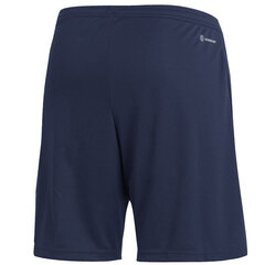 Meeste lühikesed püksid Adidas Entrada 22 Training Short M H57488, sinine цена и информация | Мужские шорты | kaup24.ee