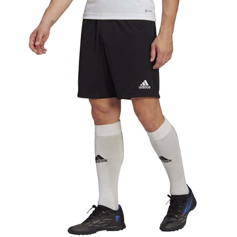 Meeste lühikesed püksid Adidas Entrada 22 Training Short M HB0575, must hind ja info | Meeste lühikesed püksid | kaup24.ee