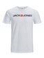 Meeste T-särk Jack & Jones 12137126*03, valge hind ja info | Meeste T-särgid | kaup24.ee