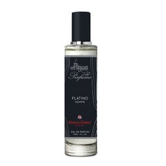 Meeste parfüüm Alvarez Gomez Platino Homme EDP, 30 ml цена и информация | Мужские духи | kaup24.ee