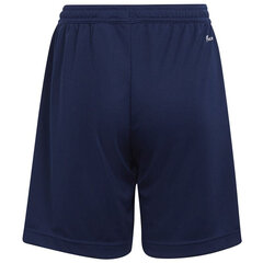 Poiste lühikesed püksid Adidas Entrada 22 Short Y Jr H57565, sinine hind ja info | Poiste lühikesed püksid | kaup24.ee