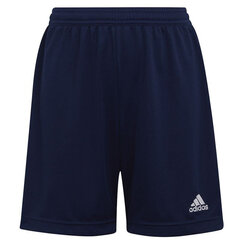 Poiste lühikesed püksid Adidas Entrada 22 Short Y Jr H57565, sinine hind ja info | Poiste lühikesed püksid | kaup24.ee