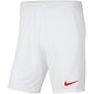 Meeste lühikesed püksid Nike Park III M BV6855 103, valge цена и информация | Meeste spordiriided | kaup24.ee