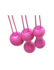 Вибратор JE JOUE - KEGEL BALLS AMI - FUCHSIA цена и информация | Наборы секс-товаров | kaup24.ee