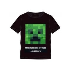 Poiste T-särk Minecraft цена и информация | Рубашки для мальчиков | kaup24.ee