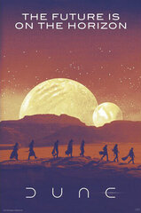 Diuna Dune 2021 Будущее на горизонте - постер 61x91,5 cm цена и информация | Картины, живопись | kaup24.ee