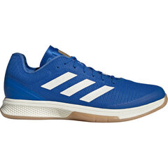 Мужская обувь Adidas G26424 цена и информация | Кроссовки для мужчин | kaup24.ee