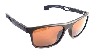 Солнцезащитные очки Polarized цена и информация | Солнцезащитные очки для мужчин | kaup24.ee