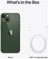 Apple iPhone 13 512GB Green MNGM3ET/A цена и информация | Telefonid | kaup24.ee