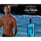 Tualettvesi Davidoff Cool Water EDT meestele 200 ml цена и информация | Meeste parfüümid | kaup24.ee