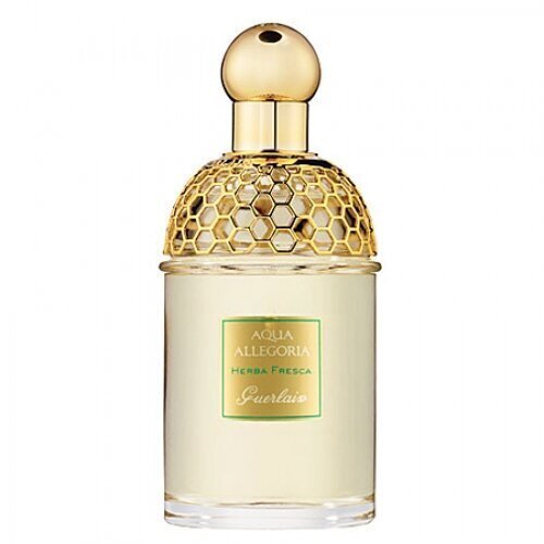 Guerlain Aqua Allegoria Herba Fresca EDT unisex 125 ml hind ja info | Naiste parfüümid | kaup24.ee