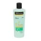 Šampoon TRESemmé Collagen + Fullness 400 ml hind ja info | Šampoonid | kaup24.ee