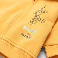 Кофточка Cool Club для мальчика Winnie the Pooh, LNB2400472, желтая цена и информация | Кофточки, джемперы, пиджаки для младенцев | kaup24.ee