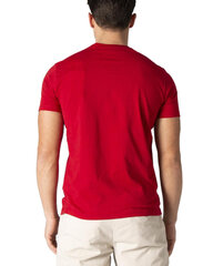 Футболка мужская U. S. Polo Assn. BFN-G-338920 цена и информация | Мужские футболки | kaup24.ee