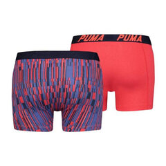 Мужские трусы Puma Pants 691003001, 2 шт. цена и информация | Мужские трусы | kaup24.ee