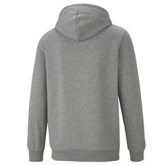 Мужской джемпер Puma Essential Small Logo Hoodie M 586690-03, серый цена и информация | Мужская спортивная одежда | kaup24.ee