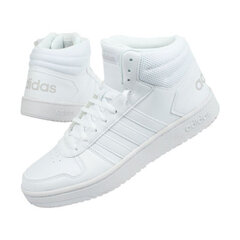 Naiste jalatsid Adidas Hoops 2,0 W B42099, valge цена и информация | Спортивная обувь, кроссовки для женщин | kaup24.ee