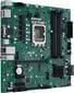 Asus Pro B660M-C D4-CSM цена и информация | Emaplaadid | kaup24.ee