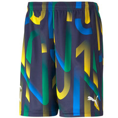 Мужские спортивные шорты Puma Neymar Jr. Future Printed Short M 605552-06, разные цвета цена и информация | Футбольная форма и другие товары | kaup24.ee