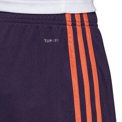 Lühikesed püksid meestele Adidas Tastigo 19 M DP3252, lilla цена и информация | Мужские шорты | kaup24.ee