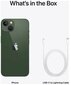 Apple iPhone 13 128GB Green MNGK3ET/A Internetist