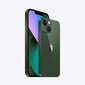 Apple iPhone 13 mini 128GB Green MNFF3ET/A цена и информация | Telefonid | kaup24.ee