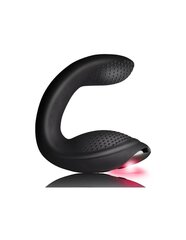 Массажер простаты ROCKS-OFF RUDE BOY XTREME MASSAGER FOR PROSTATE цена и информация | Анальные игрушки | kaup24.ee