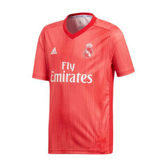 Meeste T-särk Adidas Real Madrid 3rd Jr DP5446 цена и информация | Рубашки для мальчиков | kaup24.ee