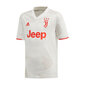 T-särk Adidas Juventus Turin Away Jr DW5457 цена и информация | Poiste särgid | kaup24.ee