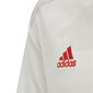 T-särk Adidas Juventus Turin Away Jr DW5457 hind ja info | Poiste särgid | kaup24.ee